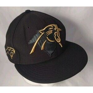 Carolina Panthers North & South Carolina State Outlines SZ 7 3/4 Hat/Cap-NICE!